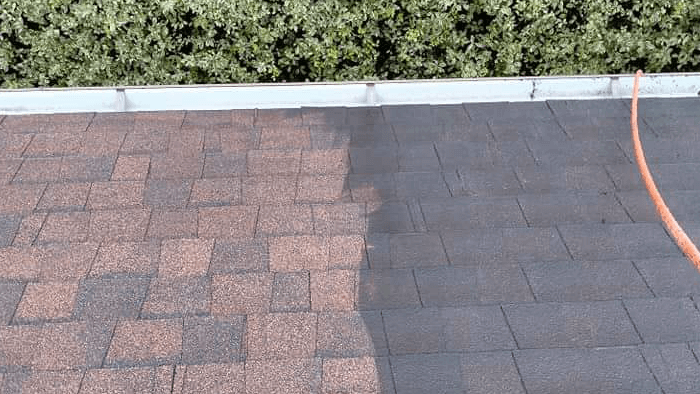 CustomerStory_CleanMe Property Services_NZ_before and after of pathway cleaning