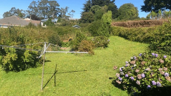classic New Zealand back year with clothes line in centre surrounded by freshly cut grass