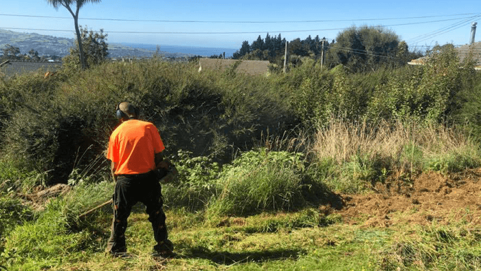 shot of tradies from back while he cuts the grass with hand held brush cutter