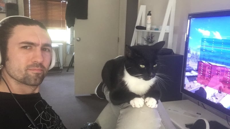 Dio the black and white cat gets in the way of Mik's screen. Mik is frowning.