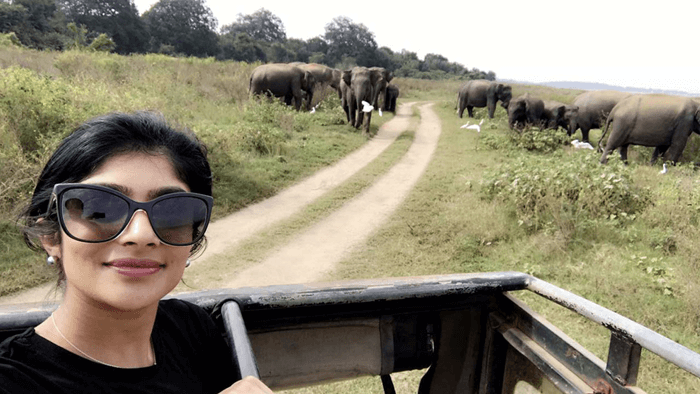 selfie with elephants in the background 
