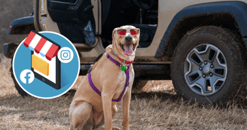 Tradie Influencers in Australia